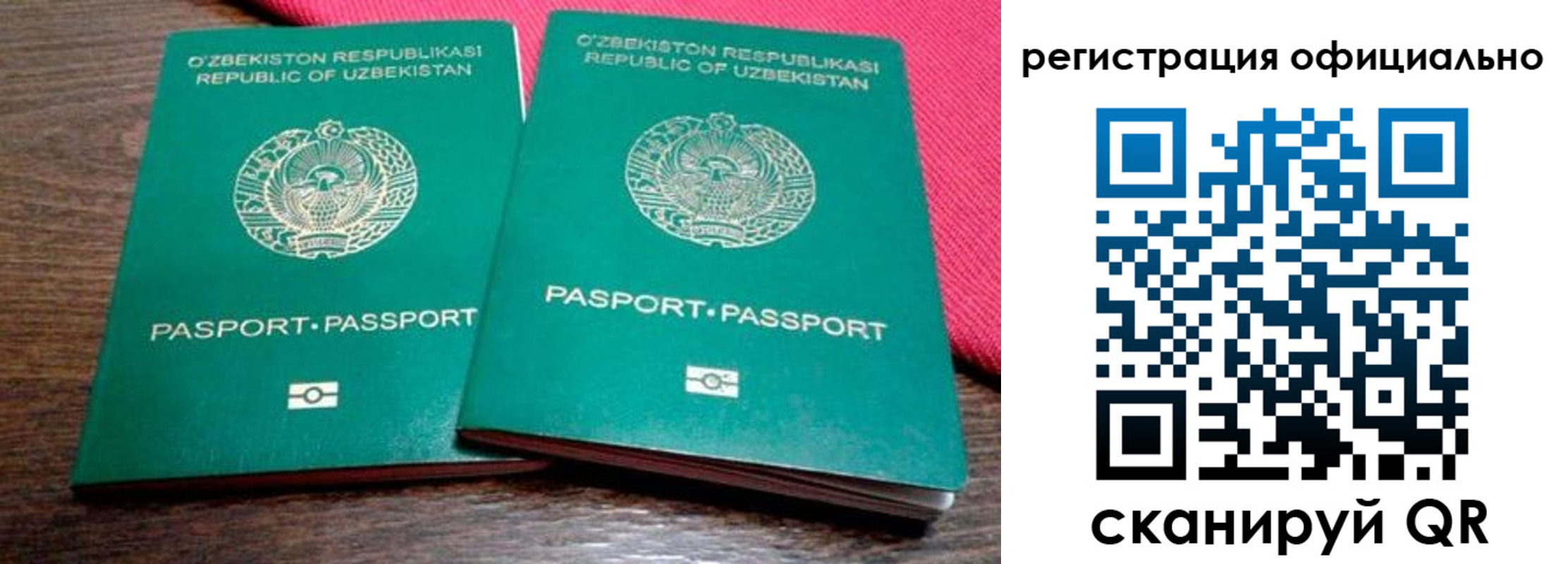 прописка регистрация в Архангельской области